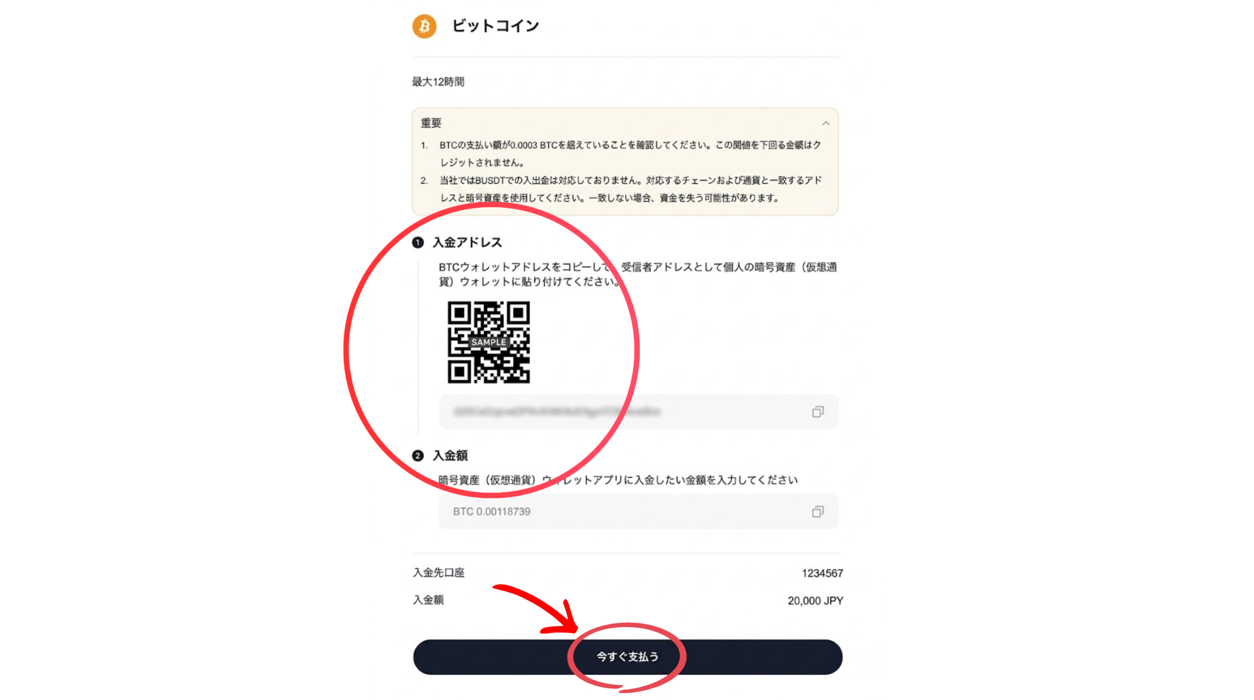 送金アドレスの表示