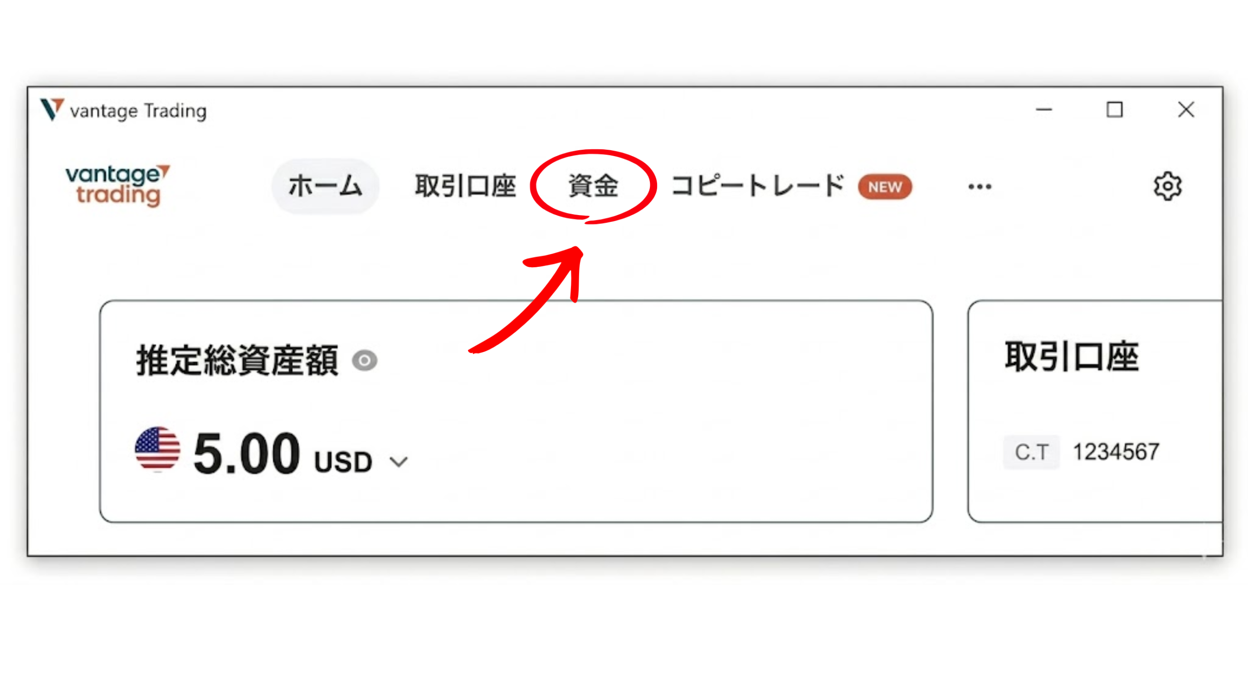 Vantageポータル入金画面